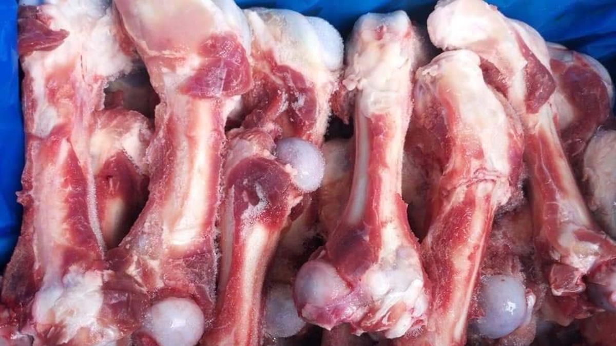 Hãy quan sát phần lõi của xương ống