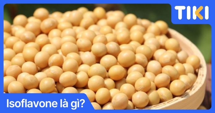 Isoflavone là gì? Tác dụng của isoflavone trong đậu nành
