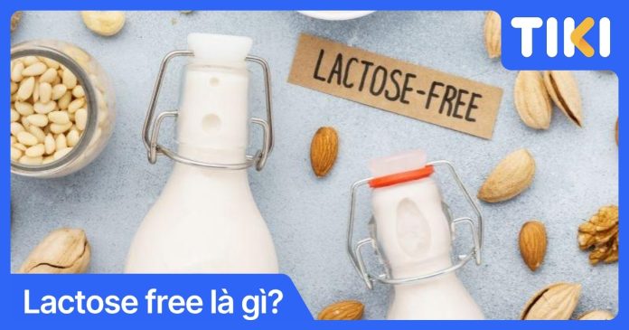 Lactose free là gì? Giải mã sữa không chứa lactose cho hệ tiêu hóa