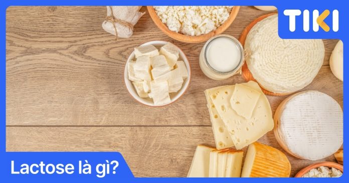 Lactose là gì? Dấu hiệu bất dung nạp và cách chọn sữa tốt