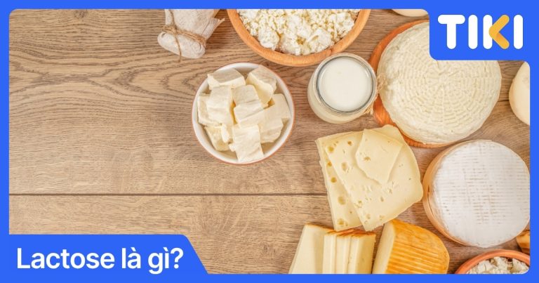 Lactose là gì? Dấu hiệu bất dung nạp và cách chọn sữa tốt