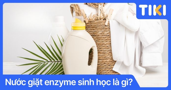 Nước giặt enzyme sinh học là gì? Cơ chế làm sạch an toàn hiệu quả