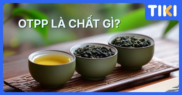 OTPP là chất gì