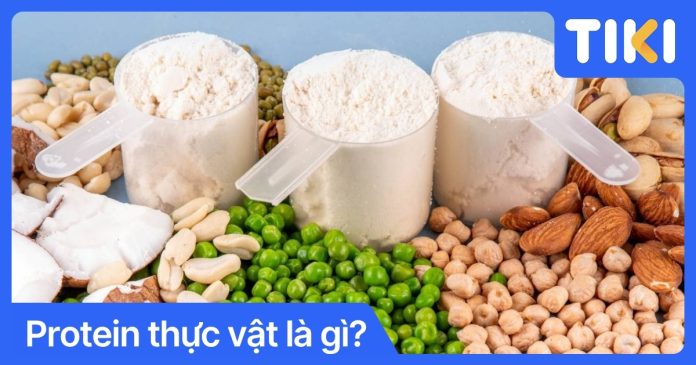 Protein thực vật là gì? Top thực phẩm giàu protein thực vật
