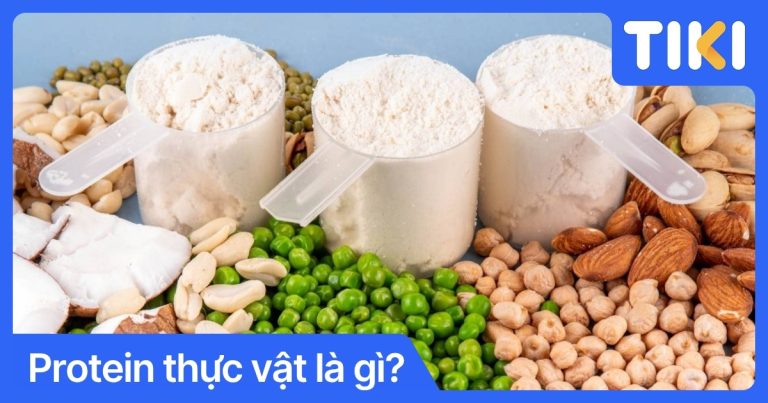 Protein thực vật là gì? Top thực phẩm giàu protein thực vật