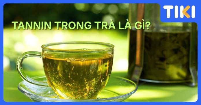 Tannin torng trà là gì