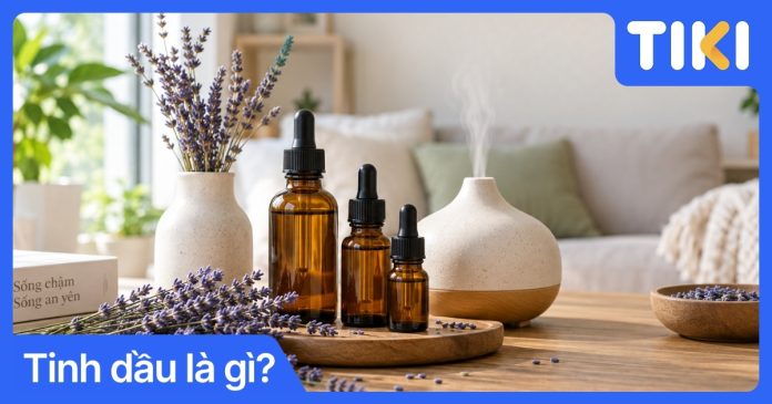 Tinh dầu là gì? Hướng dẫn phân loại và sử dụng an toàn tại nhà
