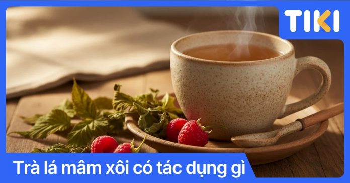 Trà lá mâm xôi có tác dụng gì