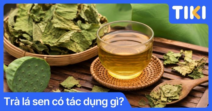 Trà lá sen có tác dụng gì? Hướng dẫn cách pha và lưu ý dùng
