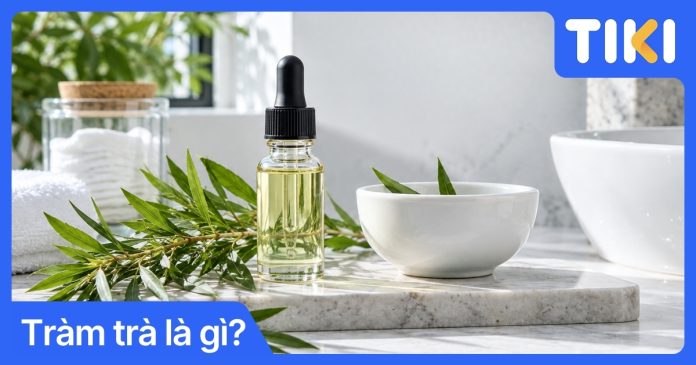 Tràm trà là gì? Công dụng và cách sử dụng tinh dầu an toàn