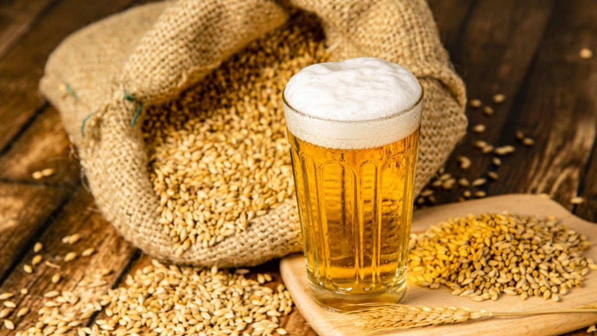 Đại mạch là loại ngũ cốc được sử dụng phổ biến nhất để sản xuất malt