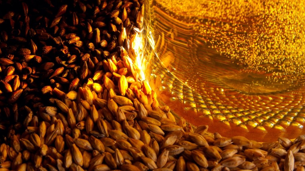 Bia 100% malt thường giữ được đặc trưng rõ nét hơn từ nguyên liệu malt